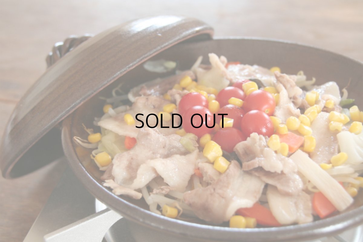 画像5: 灰釉　耐熱陶板用　蓋 (5)