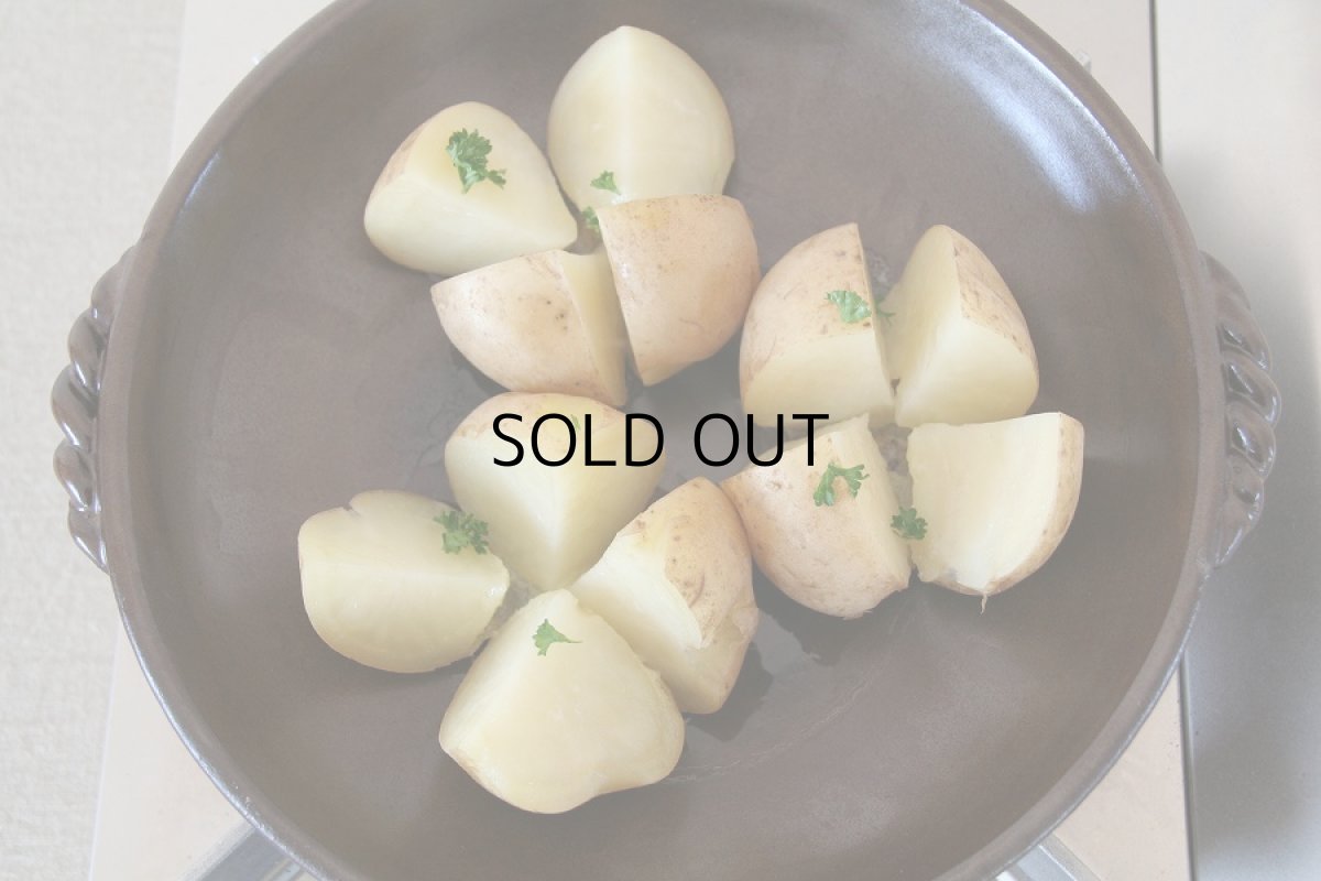 画像2: 灰釉陶板10号 (2)